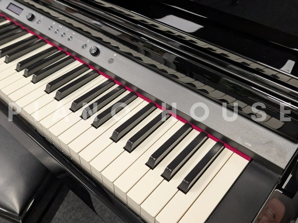 Hình ảnh chi tiết ROLAND LX-705 PE góc chụp 7